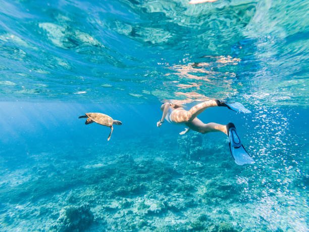 Snorkel